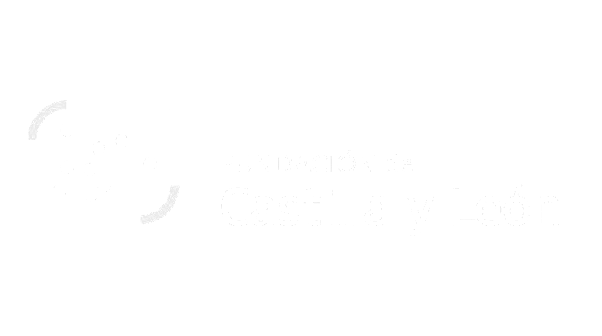 Fundación Castilla y Leon