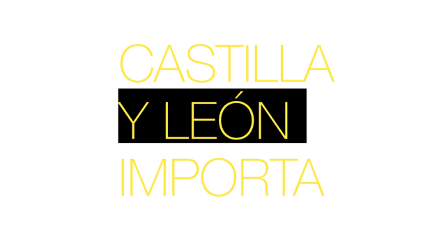 Logo Castilla y Leon Importa